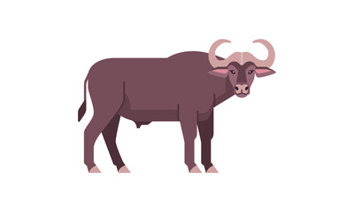 African the big five wild animal cape buffalo bovine family flat style vector illustration isolated on white background