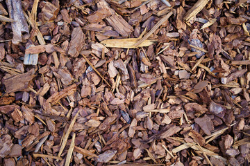 Mulch made of wood bark. Mulching is an agrotechnical way of covering the soil