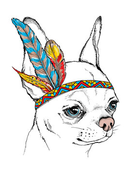 Cute cartoon chihuahua in indian headdress. Bright illustration in ethnic style. Stylish image for printing on any surface