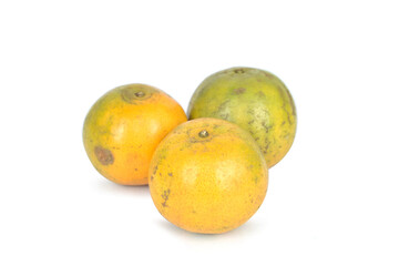 mango isolated on white background