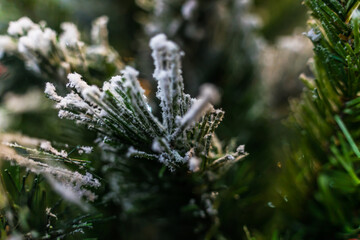 Beautiful Christmas decoration