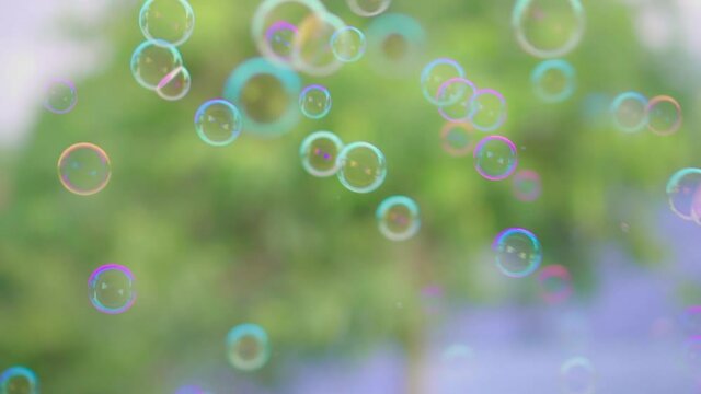 Slow motion, many soap bubbles floating with green tree background. Record in 120 fps.