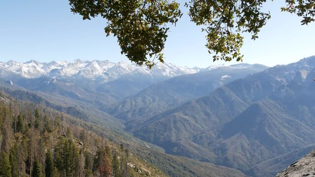 Panoramic view from Moro Rock in Sequoia forest national park, Northern California, USA. Overlooking old-growth woodland, coniferous trees on mountains of Sierra Nevada. Viewpoint near Kings Canyon.