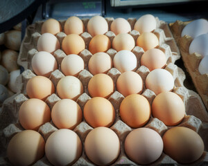 chicken eggs in a special tray are sold at the bazaar