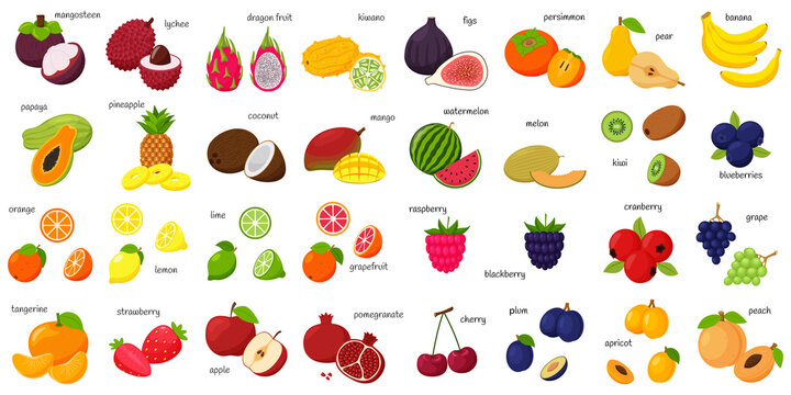 A large set of tropical, exotic, citrus fruits with names. Fruit and berry icons. Whole fruit, half cut and slices. Huge collection.Flat . Color vector illustration. Design elements isolated on white.