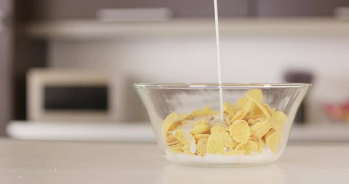 Milk is poured into glass bowl with corn flakes cereal on the table. Close up