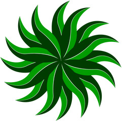 illustration of a plant