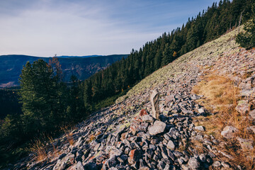 Fototapeta na wymiar A path with trees on the side of a mountain