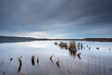 Amanecer en la Laguna de Pitillas, Navarra, España