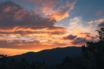 Fototapeta premium Panorama of a forest valley with mountains at colorful sunset. View from the balcony.