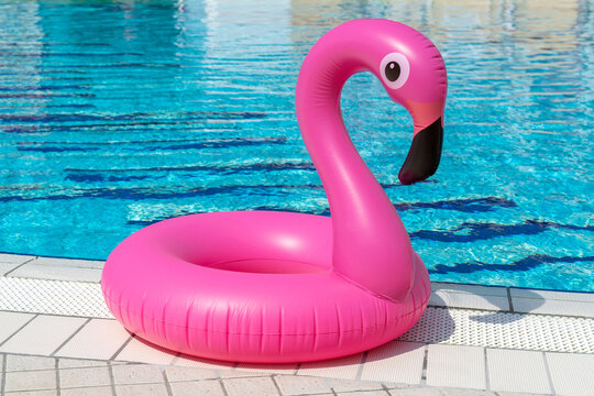 Pink pool. Pink inflatable flamingo in pool water for summer beach background. Pool float party.