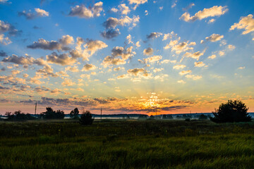 Fog on a meadow in morning on summer