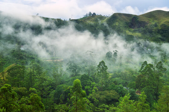 Cloud covers the mountain and cloud forest