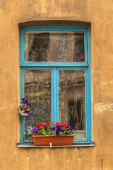 Blue old window in vintage building with lace curtains and potted plants
