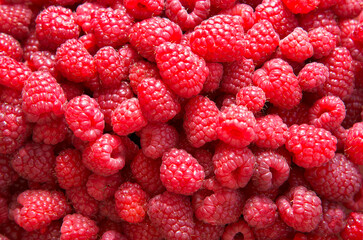Fresh raspberry background close up photo