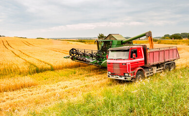 Combine harvester on wheat field
