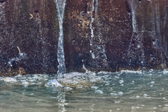 small fish try to jump over a small waterfall