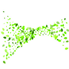Grassy Leaf Ecology Vector Illustration. Nature Leaves Border. Lime Foliage Spring Concept. Greens Swirl Banner.