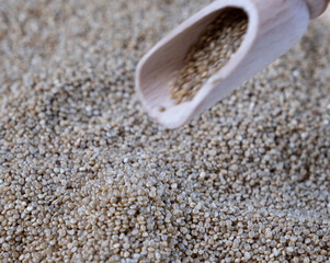 Quinoa real, close up