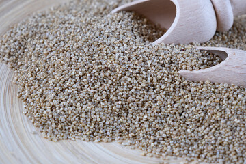 Quinoa real, close up