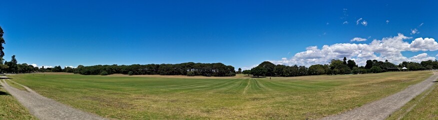 Fototapeta na wymiar Beautiful panoramic view of a public park with green grass, tall trees and deep blue sky in the background, Centennial park, Sydney, New South Wales, Australia 