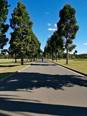 Beautiful view of a public park with green grass, tall trees and deep blue sky in the background,...