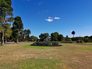 Beautiful view of a garden with flowers and plants in the park, Centennial park, Sydney, New south Wales, Australia
