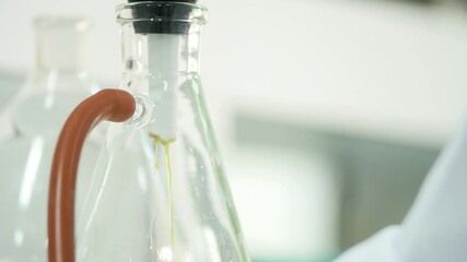 Filtration of plant-derived liquids so that they do not contain sediment. - Powered by Adobe