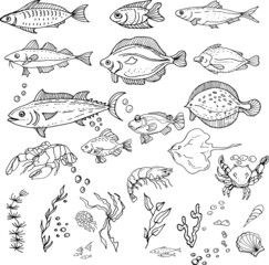 
Fish, crabs, seafood. Shrimp, halibut, tuna, shrimp, flounder. Seamless pattern. Hand drawn watercolor illustration. travel, sea, ocean, food. print, textiles