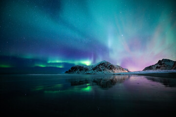 Aurora borealis on the Beach in Lofoten islands, Norway. Green northern lights above mountains....