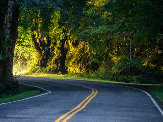 road in autumn