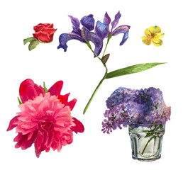 Watercolor flowers. Pink peony, yellow lilies, lilac, red rose, iris. Spring background. Hand painted illustration. Isolated. hite background.