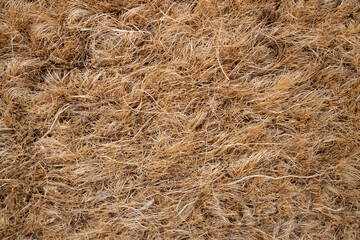 Dry coconut fibres doormat