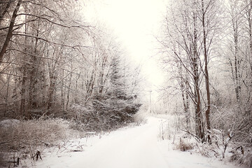 winter road abstract landscape, seasonal path december snow