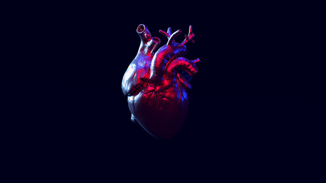 Silver Anatomical Heart with Blue Red Moody 80s Lighting 3d illustration render