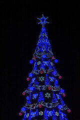 Christmas tree illuminated with the many colorful lights
