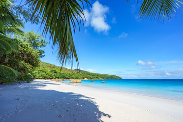 Fototapeta na wymiar tropical beach at anse lazio, on praslin, seychelles