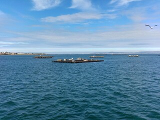 Zucht von Muscheln und Austern in den Rias Baixas an der Atlantikküste von Galicien in Spanien, hier die Ria de Arousa © Jürgen Brand