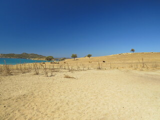 sand dunes and sky