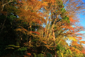 紅葉のみちのく民俗村