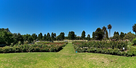 Beautiful panoramic view of a garden with flowers and plants in the park, Centennial park, Sydney, New south Wales, Australia
