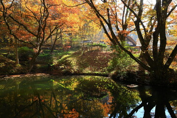 Obraz premium 紅葉のみちのく民俗村