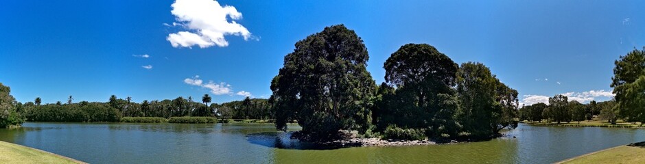 Beautiful panoramic view of a pond with tall trees and deep blue sky in the background, Centennial park, Sydney, New South Wales, Australia
