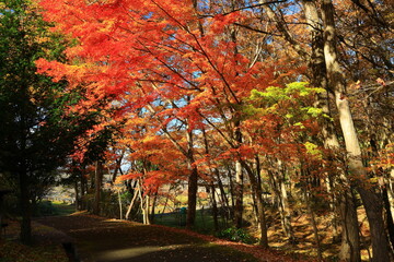 紅葉のみちのく民俗村