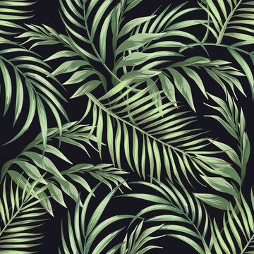 Tropical vector palm leaves pattern. Botanical illustration.