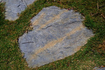 Beautiful stones that were placed on the lawn.