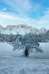 Winter at Fusine lake, Italy