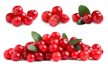 Set of fresh ripe cranberries on white background