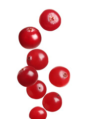 Fresh red cranberries falling on white background