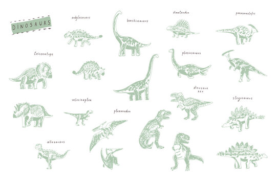 Dinosaurs hand drawn vector illustrations set